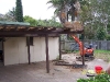 0rob-clearing-back-yard-23-27th-march-2009-040