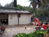 0rob-clearing-back-yard-23-27th-march-2009-078