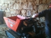 02mini-dumper_0