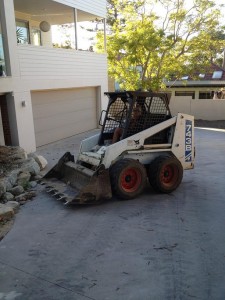 Bobcat for hire